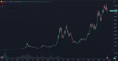 Ako dlhodobo rastie Bitcoin