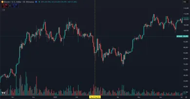 Ako sa vyvíjal Bitcoin po poslednom období extrémneho strachu