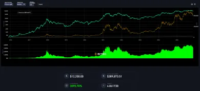 Bitcoin a jeho zhodnotenie za 10 rokov pri mesačnom vklade 100 eur