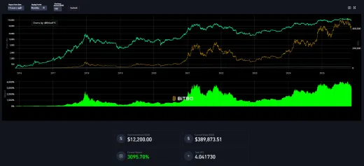Bitcoin a jeho zhodnotenie za 10 rokov pri mesačnom vklade 100 eur