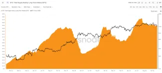 Bitcoin a pokles dlhodobých držiteľov