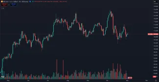 Bitcoin a vývoj trhovej ceny