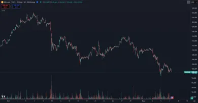 Bitcoin posledný mesiac neustále padá