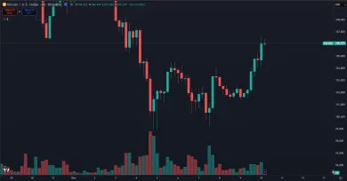 Bitcoin sa odrazil na 106 000 dolárov