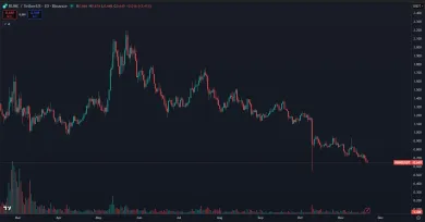 Cena kryptomeny RUNE na burze Binance
