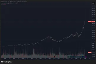 Historický rast Google