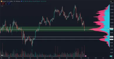 Hlavné supporty pre cenu BTC