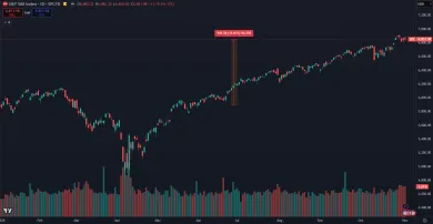 Index S&P 500 v roku 2025