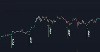 Investovanie cez pravidelný nákup