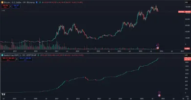 Kapitalizácia USDT verzus cena Bitcoinu