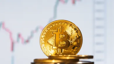 NBS odhalila falošnú licenciu