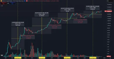 Obrovská volatilita, ktorú kryptomeny prinášajú