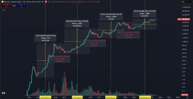 Opakovanie halvingových fáz