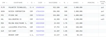 Opčné pozície v portfóliu Burryho