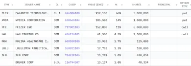 Opčné pozície v portfóliu Burryho