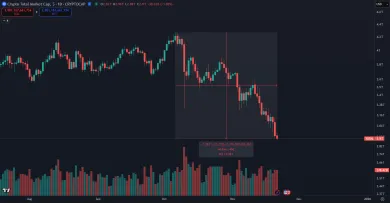 Pád kapitalizácie kryptomien