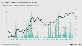 Pomer realizovaného zisku a straty krátkodobých držiteľov