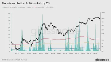 Pomer realizovaného zisku a straty krátkodobých držiteľov
