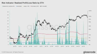 Pomer realizovaného zisku a straty krátkodobých držiteľov