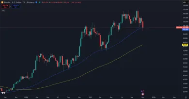 Testovanie 50 a 100 SMA