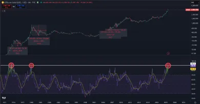 Zlato naposledy takto rástlo od roku 1979