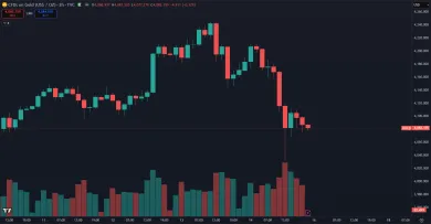Zlato reaguje na nové ložiská pádom ceny