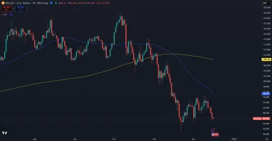 Bitcoin a kríž smrti