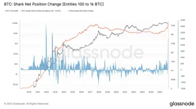 Bitcoin čelí záujmu zo strany žralokov