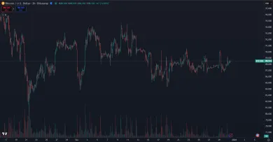 Bitcoin mierne ožil