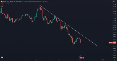 Bitcoin padol za dnešný deň o 5 %