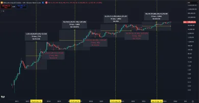 Bitcoin svojim cyklickým správaním ovplyvňuje kryptomeny