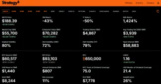 Finančné údaje firmy Strategy