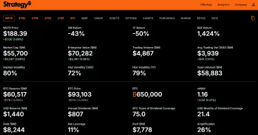 Finančné údaje firmy Strategy