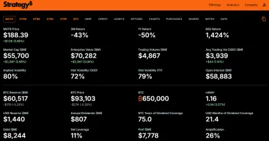 Finančné údaje firmy Strategy