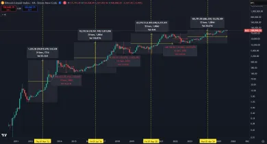 Investori sa obávajú, že sa zopakuje pád o 80 %