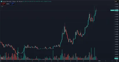 Kryptomena Canton a jej vzostup