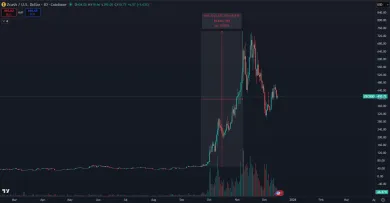Príklad, že aj známa kryptomena dokáže stúpnuť o 1 000 %