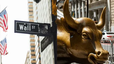 Akcie týchto firiem stúpajú rekordným tempom