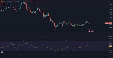 Bitcoin a indikátor RSI