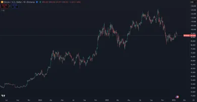 Bitcoin a jeho trhová cena