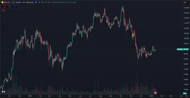 Bitcoin a jeho trhová cena v úvode roka 2026