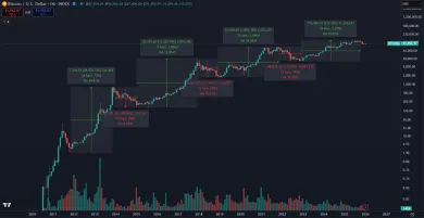 Bitcoin opakuje 4-ročné cykly