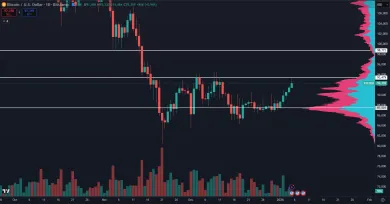 Bitcoin rastie už celý týždeň