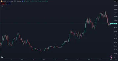 Bitcoin za posledných 5 rokov