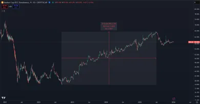 Bitcoin zažil historický rast dominancie