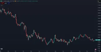 Dolár a jeho vývoj v roku 2025