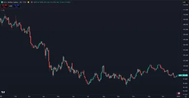 Dolár a jeho vývoj v roku 2025