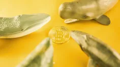 Kryptomeny a inštitucionálny dopyt