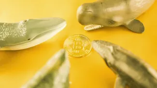 Kryptomeny a inštitucionálny dopyt