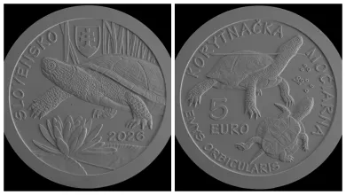 Minca korytnačka močiarna